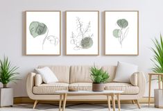 three green plants are hanging on the wall above a couch in a living room with white walls