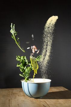 a plant sprouts out of a bowl on a table