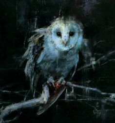 an owl sitting on top of a tree branch in the dark with it's eyes open