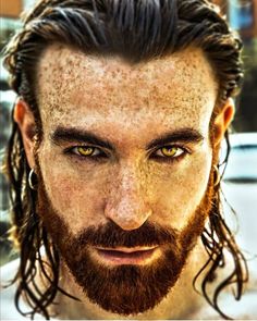 a close up of a man with long hair and beard