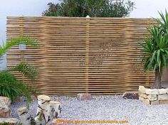 a bamboo fence is surrounded by plants and rocks