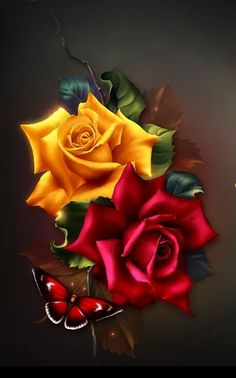 two yellow and red roses next to each other on a black background with a butterfly