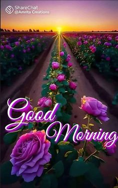 the words good morning are written in pink and purple flowers on a field with green leaves