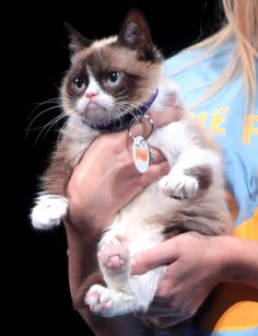 a woman holding a cat in her arms