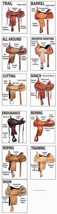 the different types of saddles and their names are shown in this diagram, which shows how