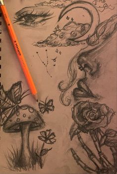 a pencil drawing of flowers and mushrooms