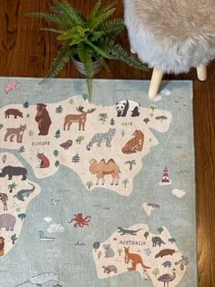 the rug has animals on it and is next to a potted plant