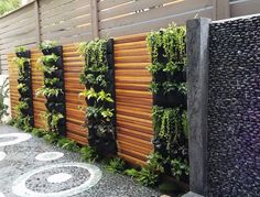 an outdoor wall with plants growing on it