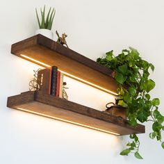 two wooden shelves with plants and books on them