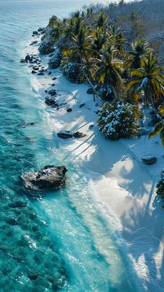 an aerial view of the ocean and beach with palm trees in the snow covered water