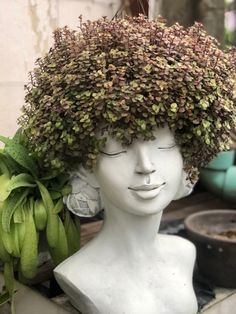 a white mannequin head with flowers on it's head and plants in the background