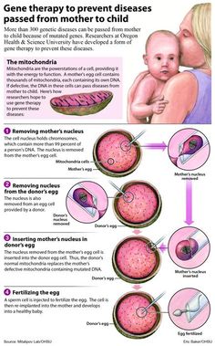 an info poster describing how to prevent the breast and child's heart diseases