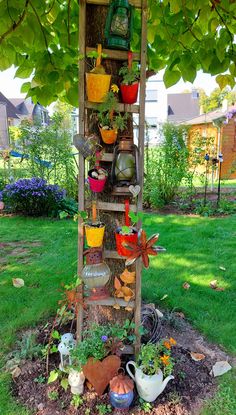 a tree with many potted plants on it