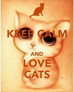 a drawing of a cat with the words keep calm and love cats
