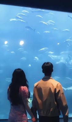 two people standing in front of a large fish tank