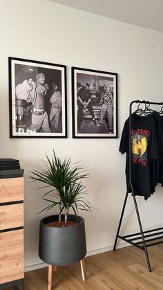 two pictures hang on the wall next to a potted plant and t - shirt