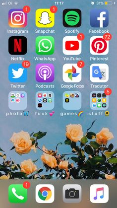 an iphone screen with several different icons and flowers on the bottom right corner, including snapchat, whatsapp, facebook, twitter, google photos, and youtube