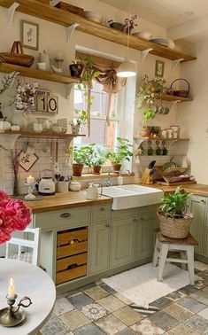 a kitchen filled with lots of potted plants