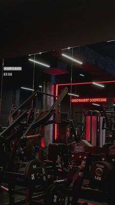 the gym is equipped with many different machines