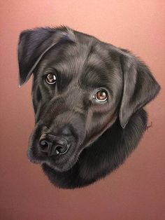 a painting of a black dog with brown eyes