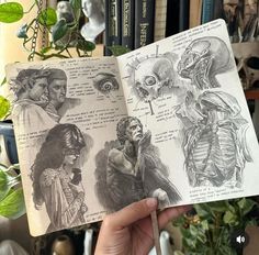 a hand holding an open book with pictures of human body and skeleton parts on it
