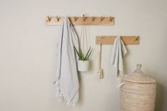 a white wall with two hooks and some towels hanging on it, next to a potted plant