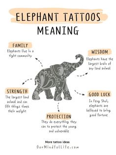 an elephant's tattoo meaning and its meanings