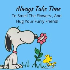 a cartoon dog smelling a flower with the caption always take time to smell the flowers, and hug your furry friend