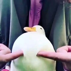 a person is holding a stuffed penguin in their hands while wearing a purple jacket and green vest