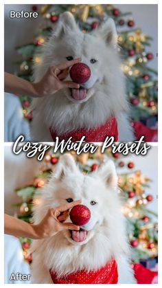 These Adobe Lightroom Presets were made specially for Christmas and Winter photos. They will give to your pictures warm vibrant and cozy look. #presets #lightroompresets #instagramfilters #lightroompreset #instagramfilter #photofilter #instagrampreset #lightroomfilter #winterpresets #snowpresets #christmaspresets #xmaspresets #winter #snow #christmas #whitepresets #influencer #blogger #instagramfeed #instagraminspo #warmpreset #brownpreset #outdoorpreset #indoorpreset Dog Instagram, Instagram Presets, Dog Pets