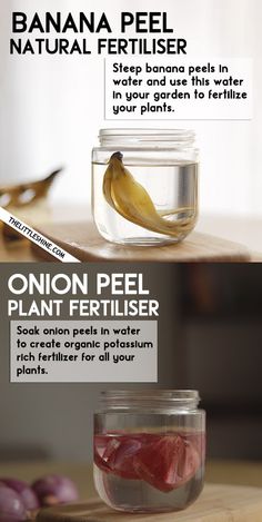 a jar with some food inside of it on top of a wooden table next to an onion peel and plant fertiliser