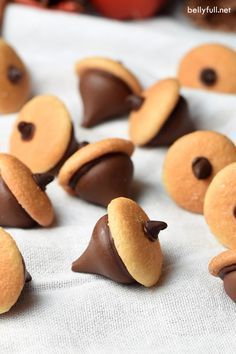 chocolate acorns are arranged on a white tablecloth with an orange ribbon around them