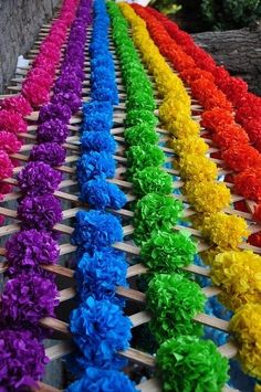 many different colored flowers are lined up on a long table with wooden skewers