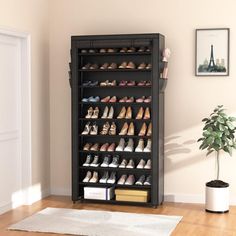 a black shoe rack filled with shoes next to a potted plant in a living room