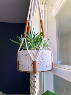 a potted plant hanging from a window sill