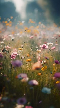 a field full of colorful flowers with lots of grass in the foreground and trees in the background