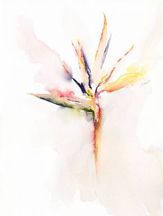 a watercolor painting of a flower on a white background