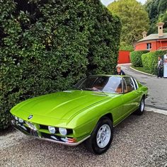 a green car is parked in front of some bushes and people are looking at it