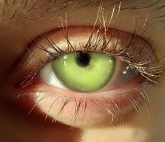 Emerald Eyes, Photos Of Eyes, Yellow Eyes