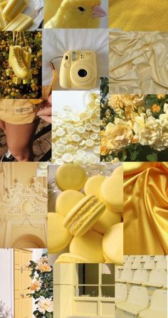 yellow and white collage with pictures of flowers, shoes, vases and other things