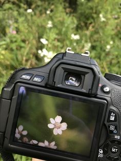 a close up of a camera with a flower on it's screen and trees in the background