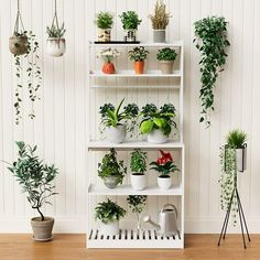 a white shelf filled with potted plants on top of a hard wood floor