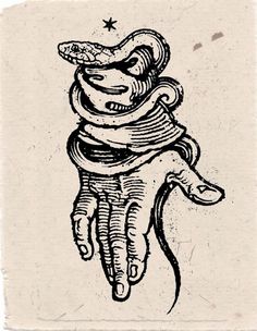 an ink drawing of a hand with a snake wrapped around it's arm and holding a star