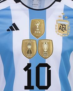 the soccer jersey is blue and white with black stripes on it, and has three different emblems