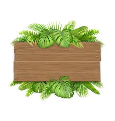 a wooden sign surrounded by tropical plants on a white background with copy - space for text