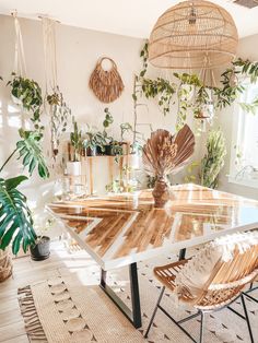 a dining room table surrounded by potted plants