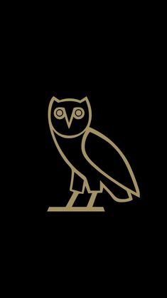 an owl is sitting on top of a sign that says, happy 25th birthday drizzy
