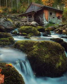 there is a small cabin in the woods next to a stream with moss growing on it