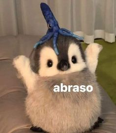 a stuffed animal with an octopus on its head and the words abraso above it