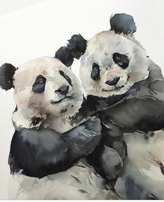 two panda bears are hugging each other in the watercolor painting style with black and white accents